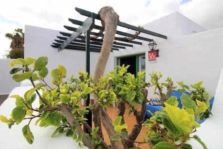 Sa Calma Beach House Costa Teguise Exterior photo
